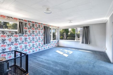 Photo of property in 19 Springfield Road, Milton, 9220