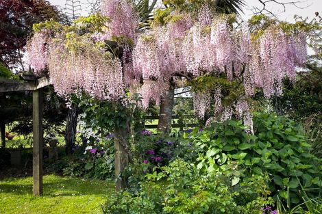 Photo of property in 1034 Ararimu Road, Ararimu, Drury, 2579