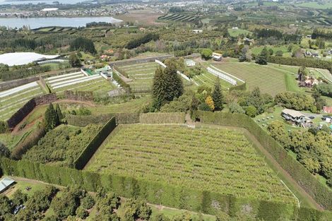 Photo of property in 6a Woodland Road, Tahawai, Katikati, 3170