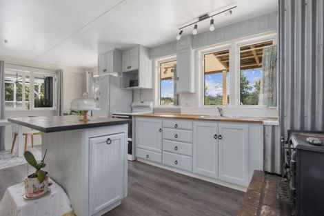 Photo of property in 14 Poland Street, Waikino, Waihi, 3682