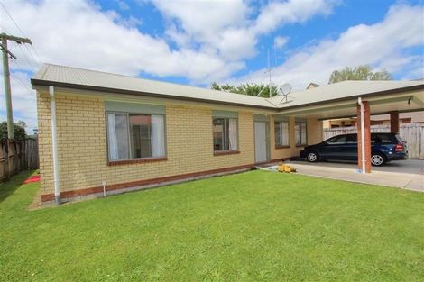 Photo of property in 38 York Street, Hamilton East, Hamilton, 3216