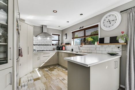 Photo of property in 19 Maple Avenue, Dinsdale, Hamilton, 3204