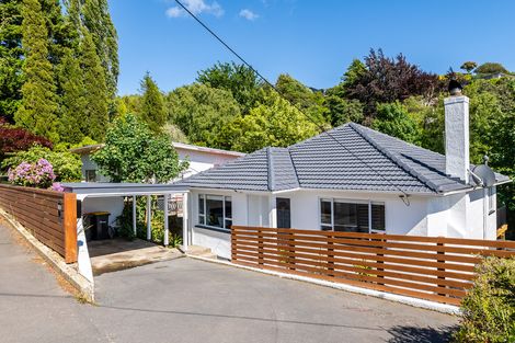 Photo of property in 171 Helensburgh Road, Wakari, Dunedin, 9010
