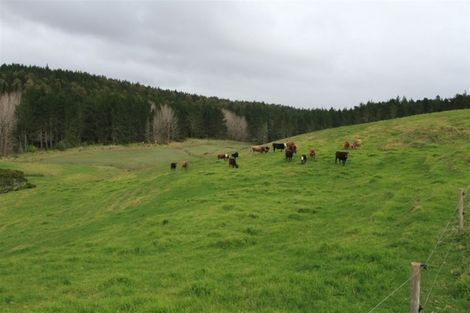 Photo of property in 388 South Road, Waipu, 0582