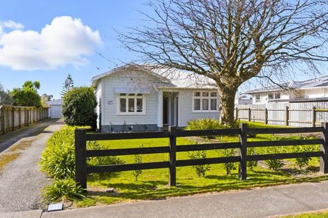 Photo of property in 106 Queen Street West, Levin, 5510