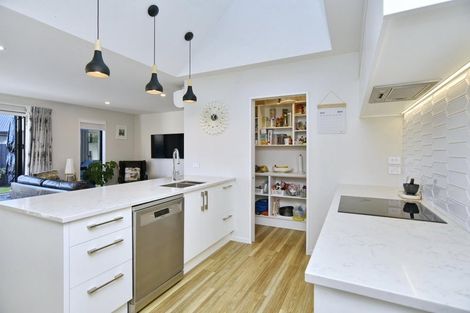 Photo of property in 8 Guyon Street, Marshland, Christchurch, 8083