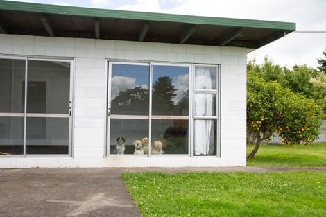 Photo of property in 62 Barraud Street, Dannevirke, 4930