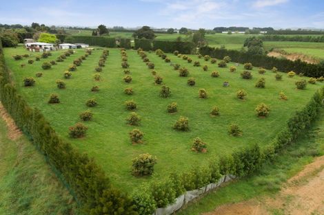 Photo of property in 718 Old Coach Road, Pongakawa, Te Puke, 3186