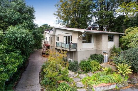 Photo of property in 41b Melrose Street, Roslyn, Dunedin, 9010