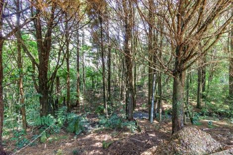 Photo of property in 17a Edkins Road, Kerikeri, 0230