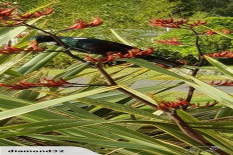 Photo of property in 44 Tamatea Street, Rotoiti Forest, Rotorua, 3074