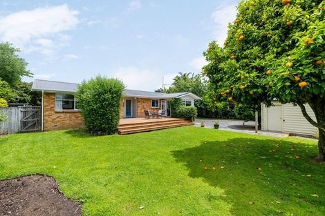 Photo of property in 43 Weld Street, Cambridge, 3434