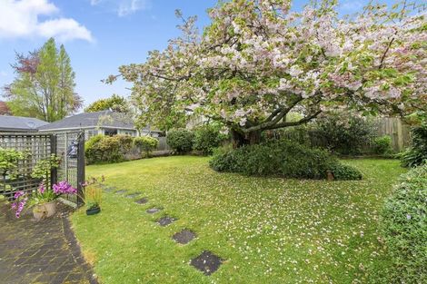 Photo of property in 48 High Street, Glenholme, Rotorua, 3010