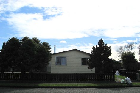 Photo of property in 19 Martin Harvey Street, Levin, 5510