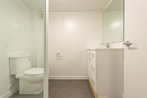 Photo of property in 16 Picton Avenue, Newtown, Wellington, 6021