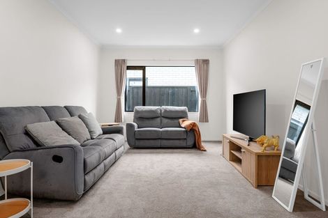 Photo of property in 19 Musselwhite Terrace, Chartwell, Hamilton, 3210