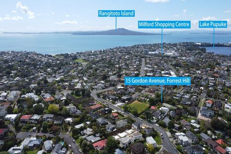 Photo of property in 15 Gordon Avenue, Forrest Hill, Auckland, 0620