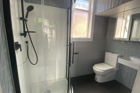 Photo of property in 17 Horner Street, Newtown, Wellington, 6021