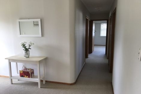 Photo of property in 3 Walker Terrace, Dinsdale, Hamilton, 3204