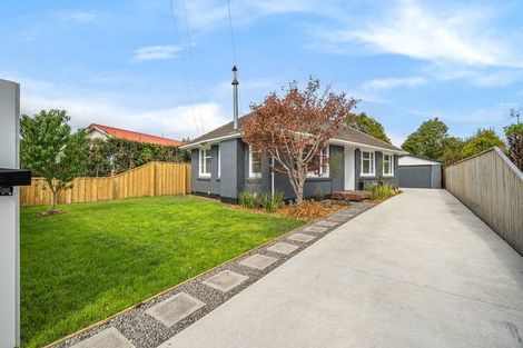 Photo of property in 11a Palmside Street, Somerfield, Christchurch, 8024