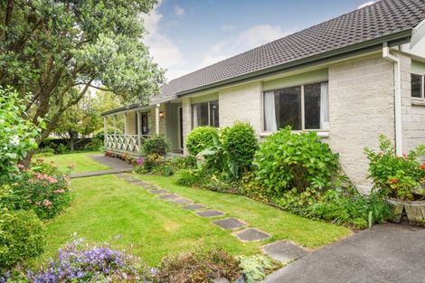 Photo of property in 175 Amberley Avenue, Highbury, Palmerston North, 4412