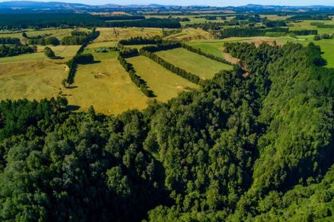 Photo of property in 1798 Te Matai Road, Te Ranga, Te Puke, 3188