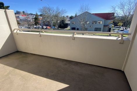 Photo of property in 23b Palmerston Street, Hamilton Central, Hamilton, 3204