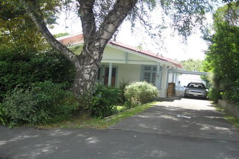 Photo of property in 61 Wakeman Street, Pahiatua, 4910