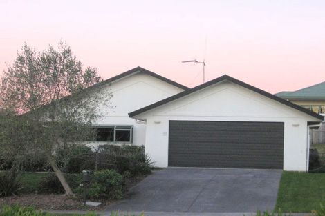 Photo of property in 58 Discovery Drive, Flagstaff, Hamilton, 3210