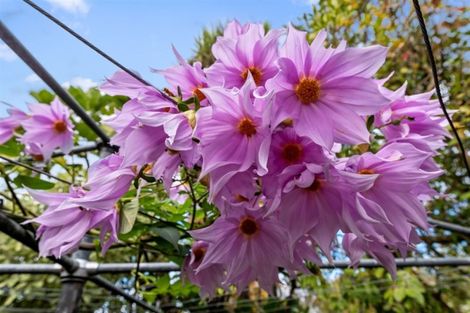 Photo of property in 54 Calliope Road, Devonport, Auckland, 0624