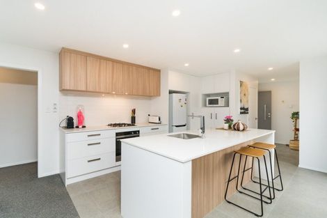 Photo of property in 49b Escort Grove, Awapuni, Palmerston North, 4412