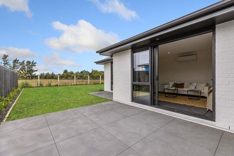 Photo of property in 45 Greig Crescent, Amberley, 7481