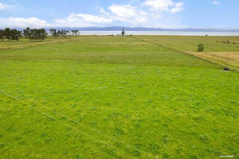 Photo of property in 587 East Coast Road, Kaiaua, Miranda, 2473