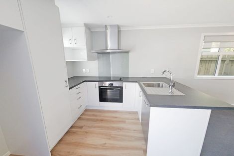 Photo of property in 63b Lincoln Avenue, Epuni, Lower Hutt, 5011