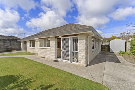 Photo of property in 17a Carlisle Street, Levin, 5510