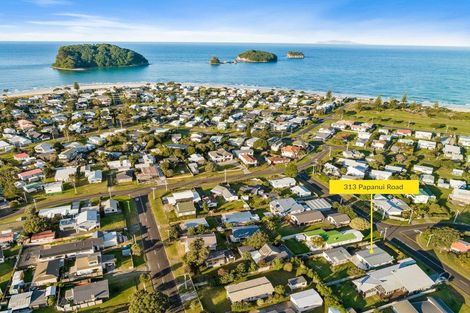 Photo of property in 313 Papanui Road, Whangamata, 3620