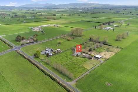 Photo of property in 397 Whakahoro Road, Springdale, Waitoa, 3380