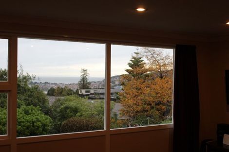 Photo of property in 92f Eglinton Road, Mornington, Dunedin, 9011