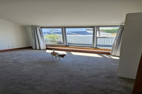 Photo of property in 58 Wilson Street, Newtown, Wellington, 6021