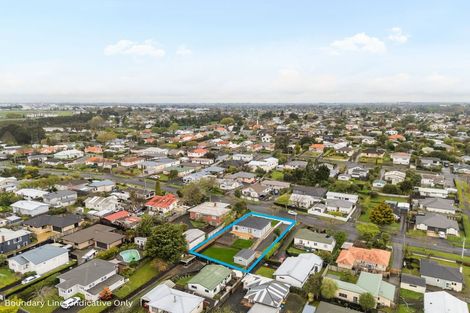 Photo of property in 17 Hinau Street, Maeroa, Hamilton, 3200