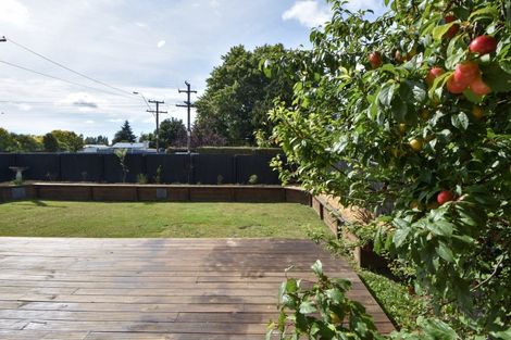 Photo of property in 226 High Street South, Carterton, 5713