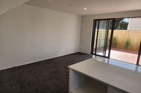 Photo of property in 19b Chatham Street, Addington, Christchurch, 8024