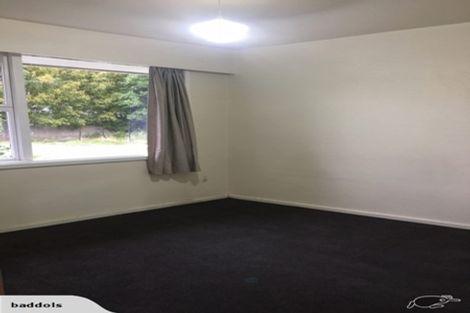 Photo of property in 60 Carlton Mill Road, Merivale, Christchurch, 8014