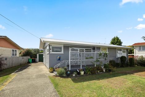 Photo of property in 35 Arney Street, Paeroa, 3600