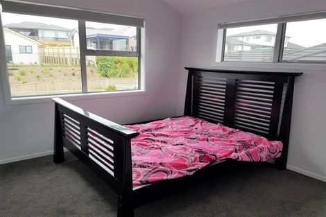 Photo of property in 105 John Burke Drive, Aotea, Porirua, 5024