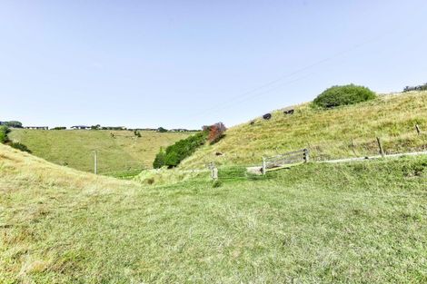 Photo of property in 47 Ngatarua Road, Putiki, Whanganui, 4500