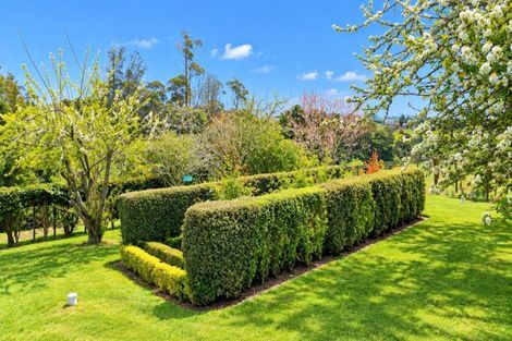 Photo of property in 17 Orchard Road, Te Kauwhata, 3782
