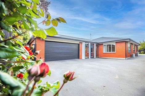 Photo of property in 34 Colligan Street, Upper Riccarton, Christchurch, 8041