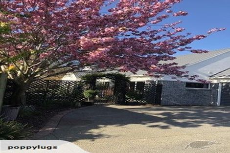 Photo of property in 15 Harrall Place, Kaiapoi, 7630