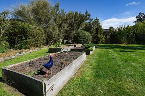 Photo of property in 10 Hill Road, Warrington, Waikouaiti, 9471
